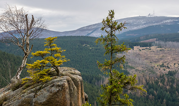 Berge im Harz