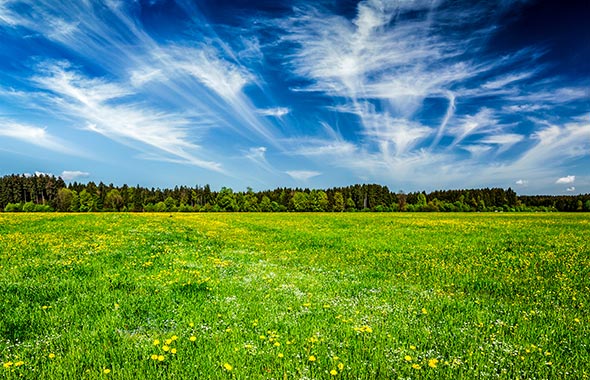 Natur rund um Holzkirchen