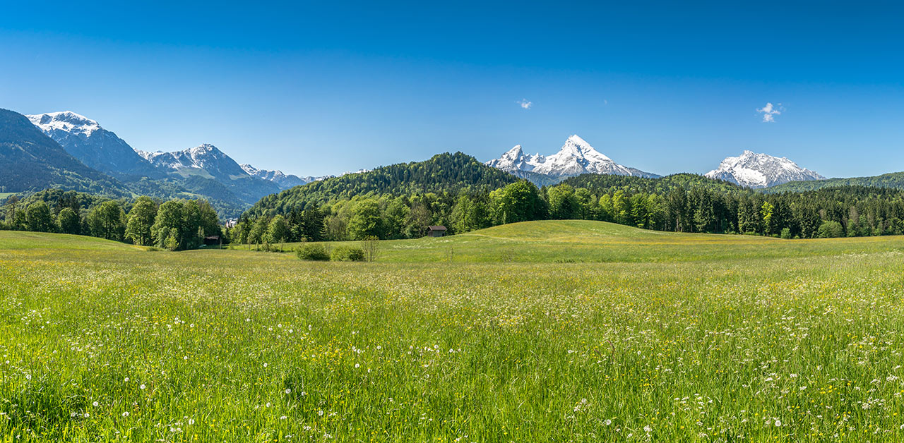 Honig aus Bayern