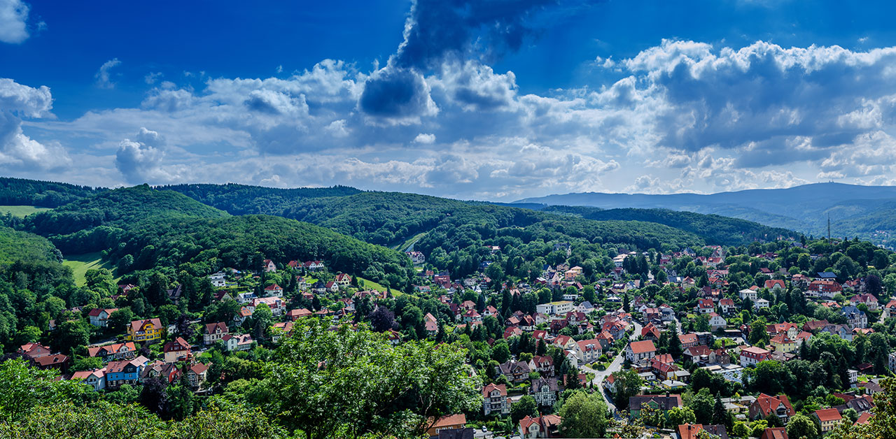 Honig aus Sachsen-Anhalt