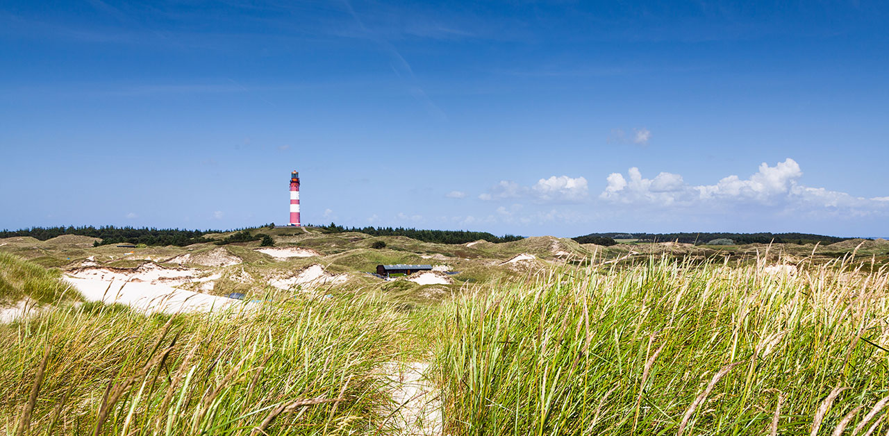 Leuchtturm am Meer in Schleswig-Holstein