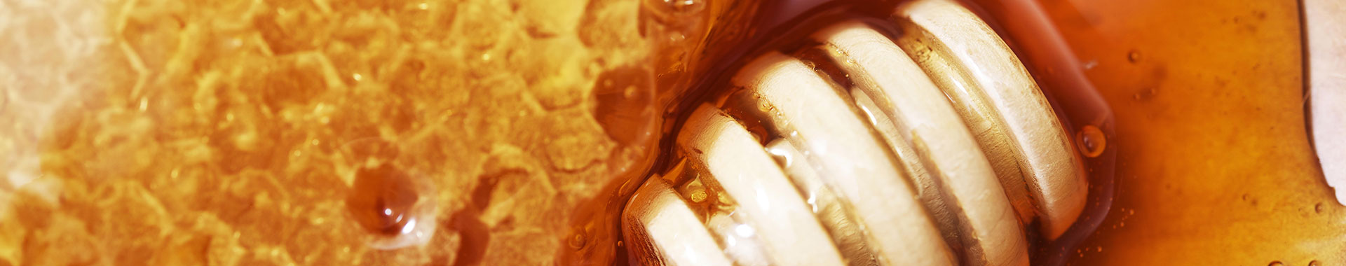 Honiglöffel aus Holz in Honig 
