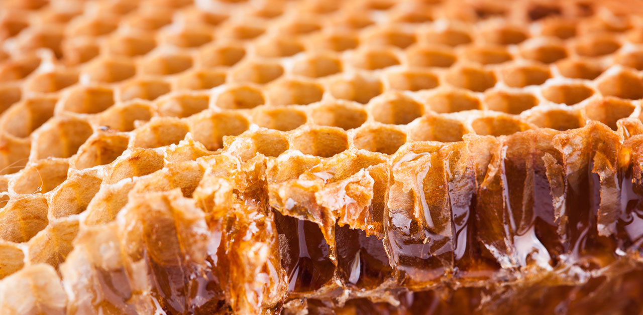 Nahaufnahme einer Bienenwabe