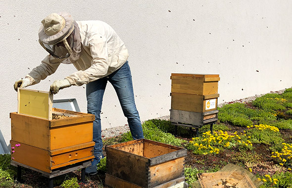 Patenimker Jürgen kümmert sich um die Bienen der Pasing Arcaden