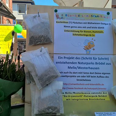 Flyer von Blumige-Landschaften