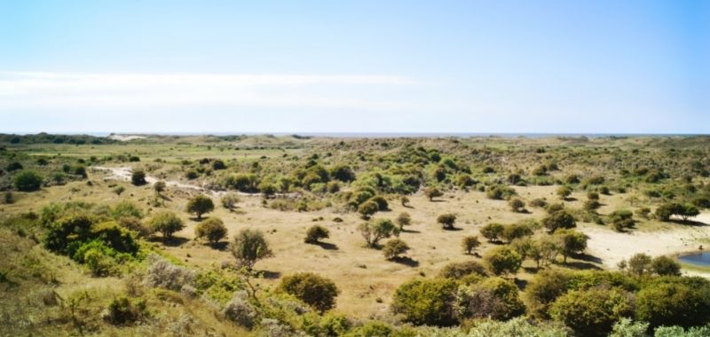 Landschaft in Kamerun