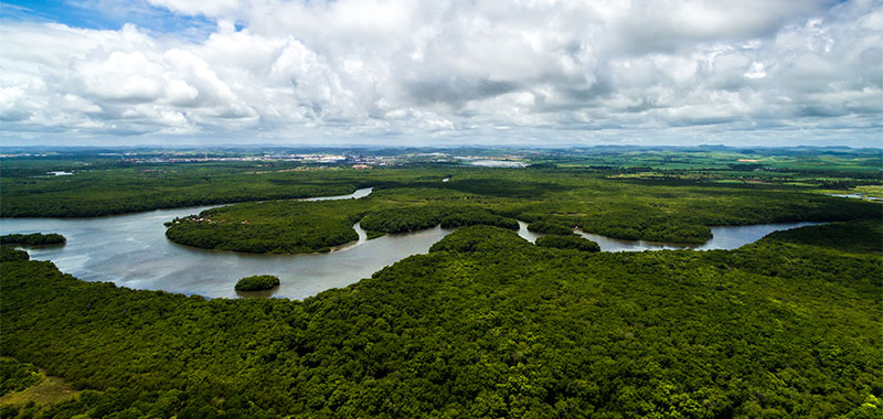 Amazonasgebiet Brasilien