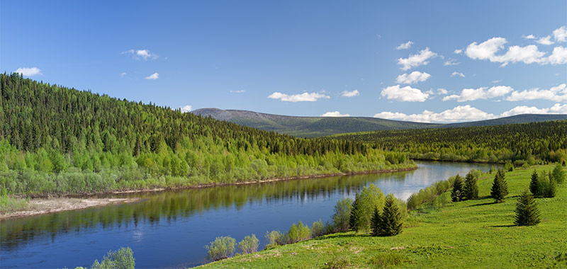 Natur mit Fluss und Wald 