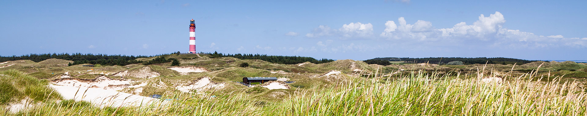 Ein Leuchtturm auf einer Düne in Schleswig-Holstein