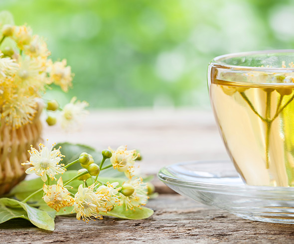 Tee aus Lindenblüten gebrüht