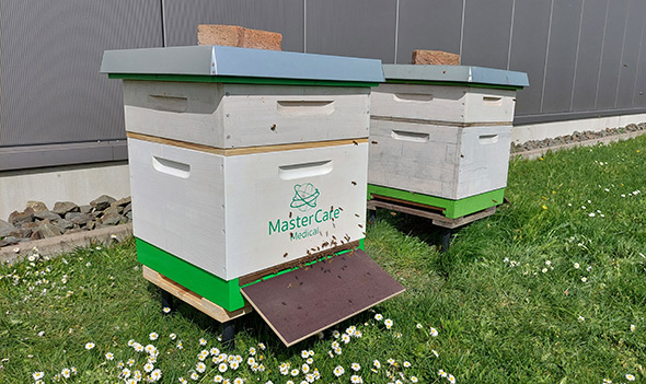 Zuhause bei den MasterCare Medical Patenbienen
