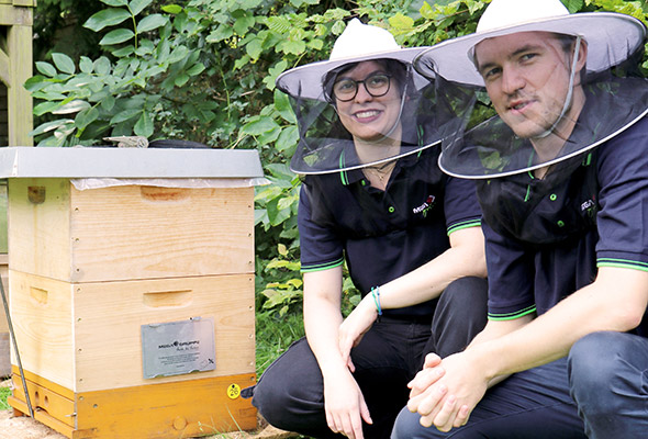 Das Team von MEGA eG zu Besuch bei den Patenbienen