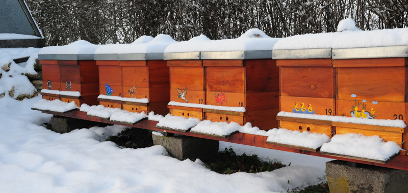 Bienenbeuten im Schnee