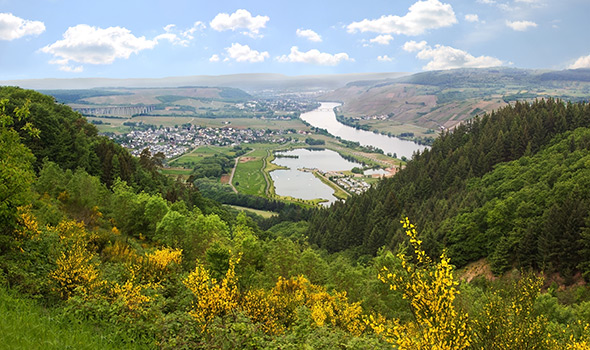 Die Mosel im Saarland