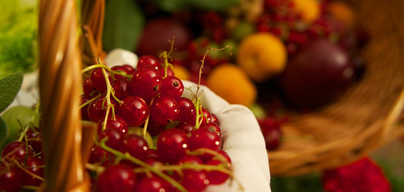 Korb mit Johannisbeeren