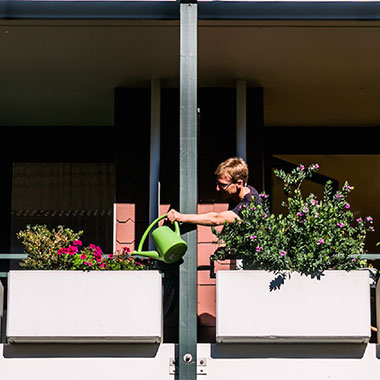 Blumen gießen nebenan