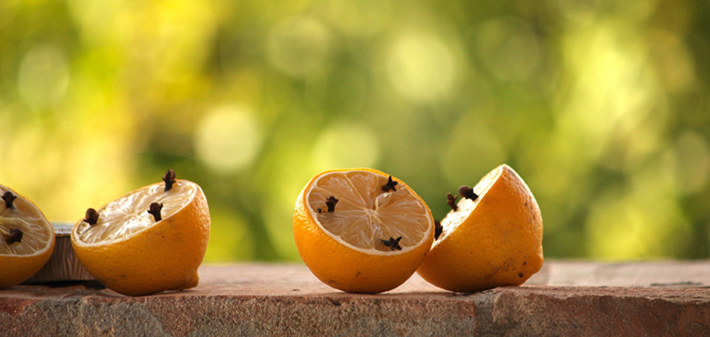 Orangen mit Nelken