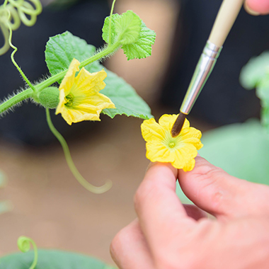 Pinsel mit Blüte