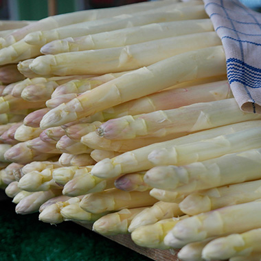 Spargel für den Auflauf