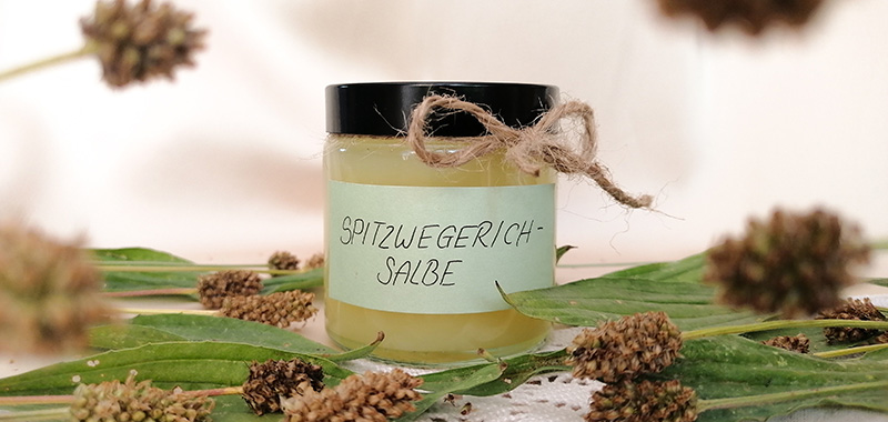 Spitzwegerich-Salbe