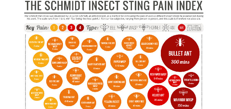 Stichschmerzindex