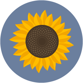 Sonnenblume