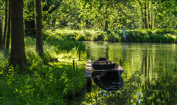 Spreewald