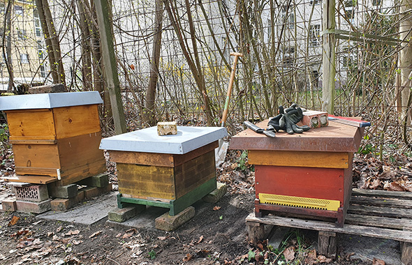 Bienenstand von Imkerin Alexandra