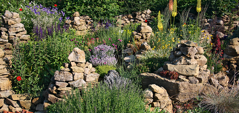 Steingarten im Hortus Insectorum