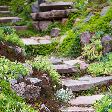 Steinweg in der Natur