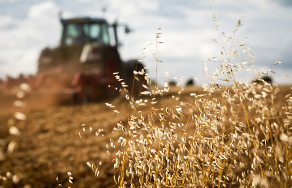 Traktor auf einem Feld