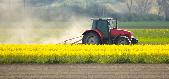 Ein Traktor in einem Rapsfeld