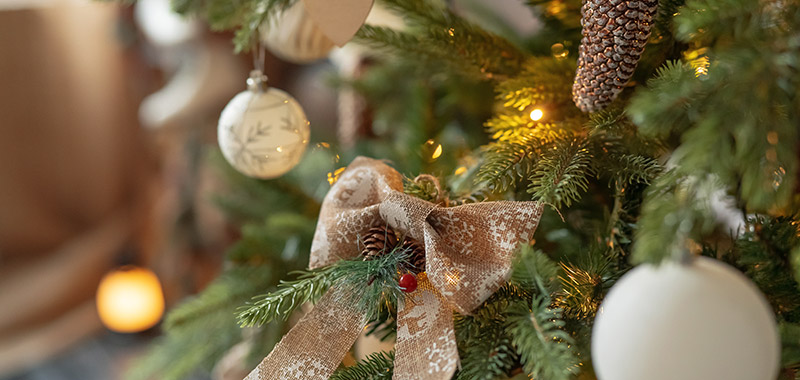 Weihnachtsbaum Nachhaltig nearBees