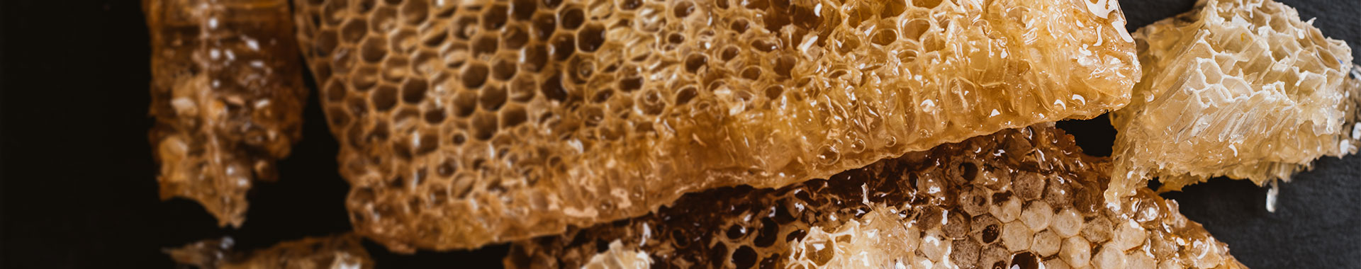 Wissen rund um Honig