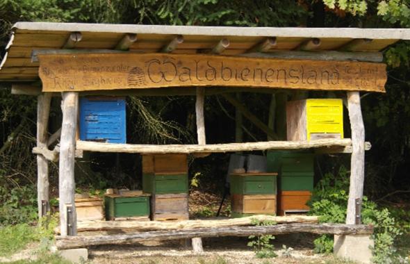 Waldbienenstand