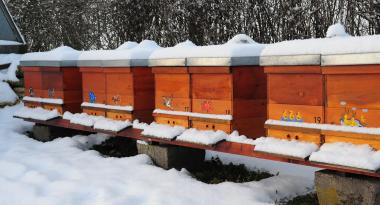 Bienenbeuten im Schnee