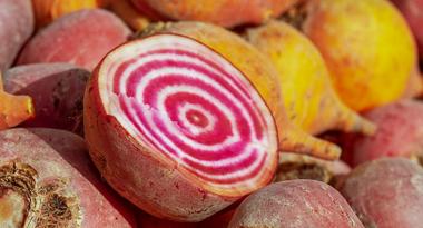 Bunte Beete