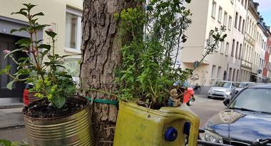 Pflanzen in der Stadt