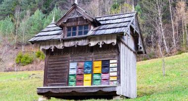 Bienenhaus mit bemalten Beuten in Slowenien
