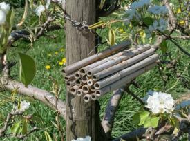 Nisthilfe aus Bambus