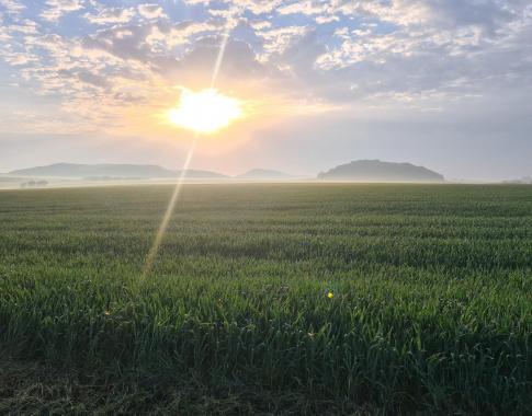 Auf den Weg zur Honig ernten 