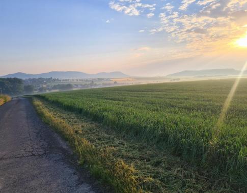 Aus dieser schönen Landschaft kommt der Honig