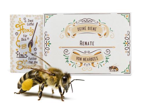 Adopt a Bee - Geschenkset