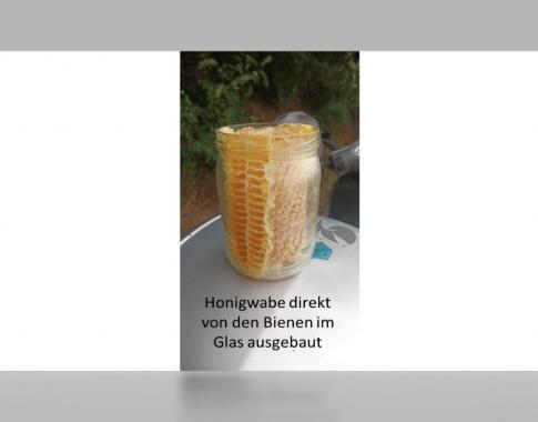 Derzeit nicht verfügbar! Wabenhonig direkt im Glas von den Bienen ausgebaut