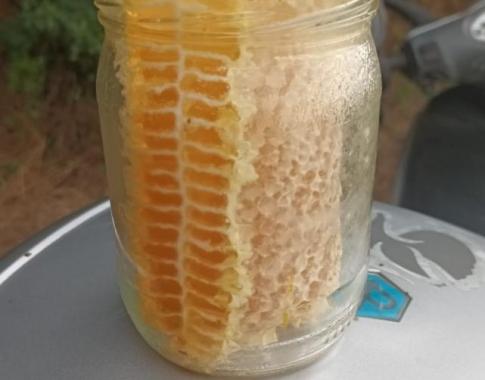 Derzeit nicht verfügbar! Wabenhonig direkt im Glas von den Bienen ausgebaut