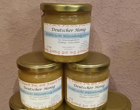 Frühtrachthonig