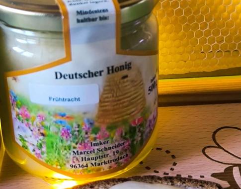 Frühtrachthonig