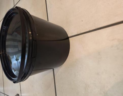 Wald und Linde in einem Honig. Friacher süßer und fruchtiger geschmack. 3kg Eimer