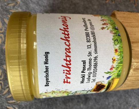 Frühtrachthonig