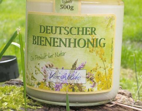 Kirschblüte